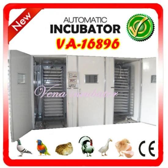High Quality Laboratory Electric Fully Automatic Incubator (A-16896)