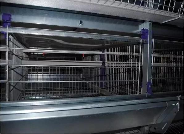 Layer Cage Equipment
