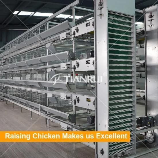 China Best Sale Automatic Layer Chicken Poultry Battery Cage