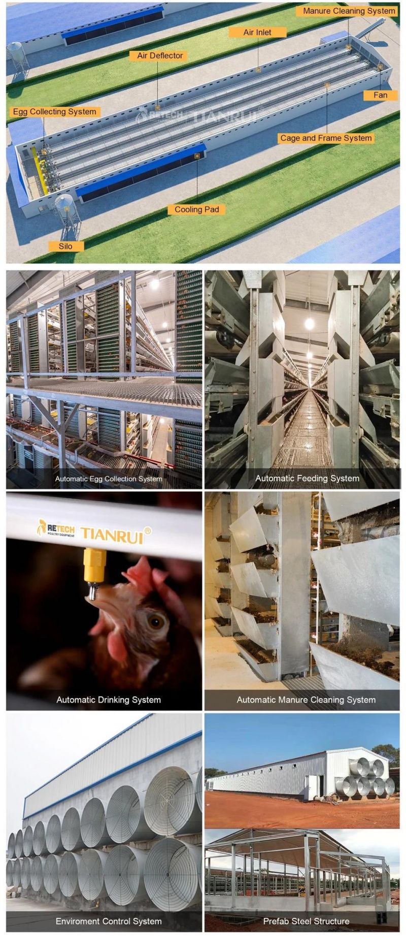 Automatic H Type Chicken Layer Battery Cage for Large-scale farm