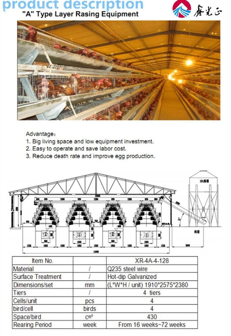a Type Layer Chicken Cage Products From China