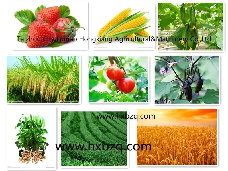 Fertilizer Broadcast Vegetable Seeder