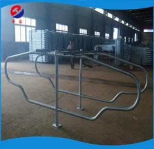 Cow and Cattle Feeding Stall Free Sample Best Sell