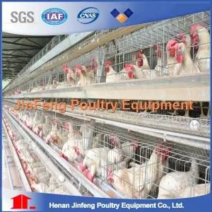 Automatic Poultry Cages for Henhouse