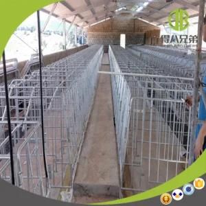 High Quality Wholesale Gestation Stall or Individual Stall for Sale