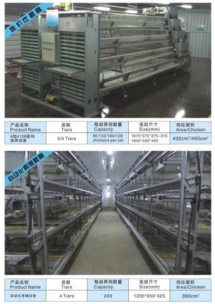 Prefabricated Steel Structure Poultry House