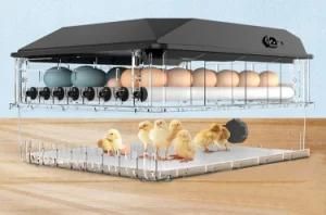 Full Automatic Small Poultry Chicken Egg Incubator for 56-200 Eggs
