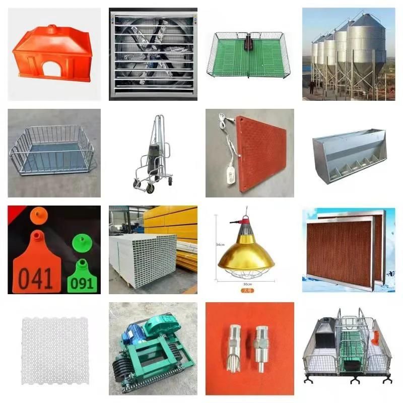 Pig Farm Equipment Sow Cages Galvanized Steel Products