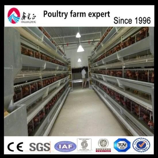 Poultry Breeding Equipment Automatic Layer Chicken Cage