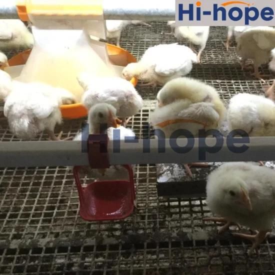 Chicken Farming Equipment Broiler Nipple Drinking System
