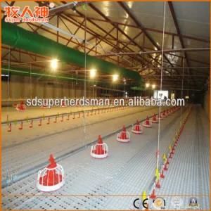 Floor Breeding Broiler Production Poultry Equipment
