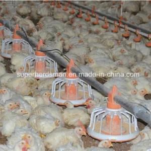 2015 Hot Sale Poultry Farming Chicken Feeding Equipment