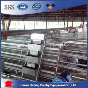 Jinfeng Poultry Farm Layer Chicken Cage (Hot Galvanization)