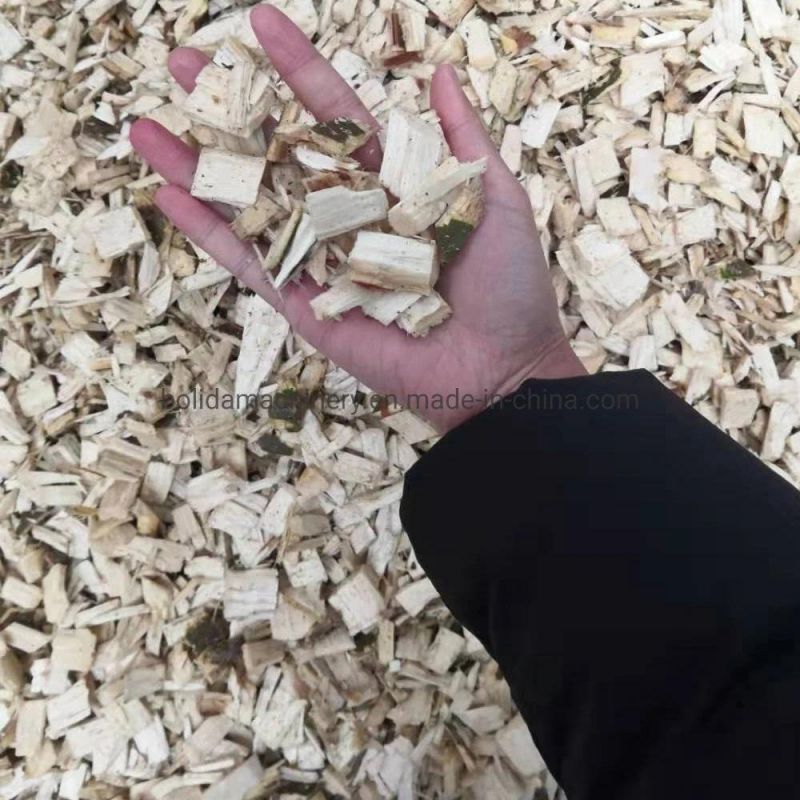 Ce Wood Chipper for Hard Wood Beech, Oak, Acacia, Ash, Chestnut