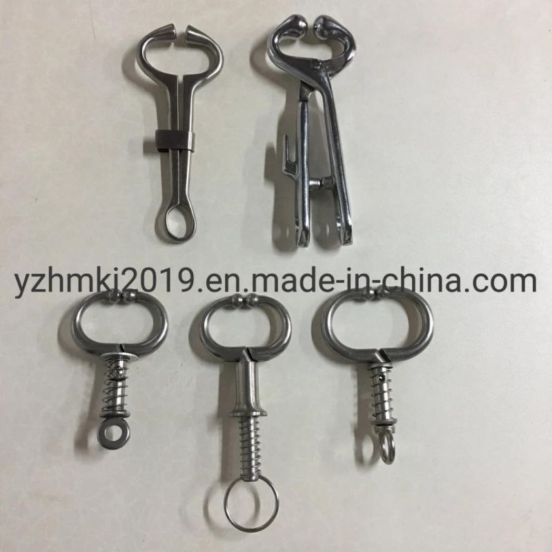 Factory Making Stainless Bull Nose Holde with Chain