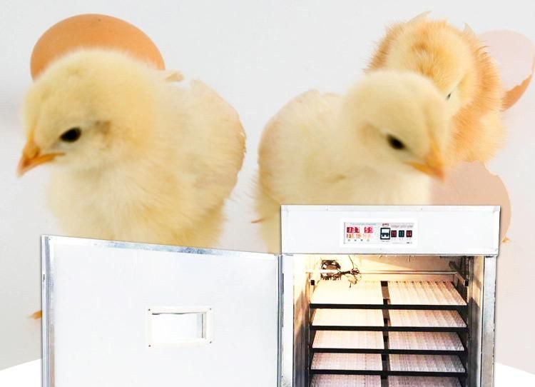 Full Automatic Poultry Quail Chicken Egg Incubator Equipment Machine