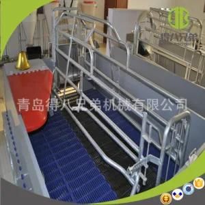 Cheap Price Hot Sale High Quality High Survival Rate Used Farrowing Crates for Sow