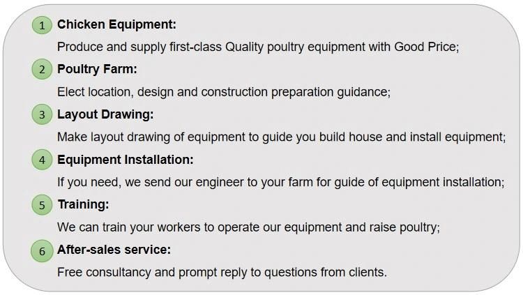 Lifetime Warranty Chicken House Design Poultry Farm Feeding Equipment