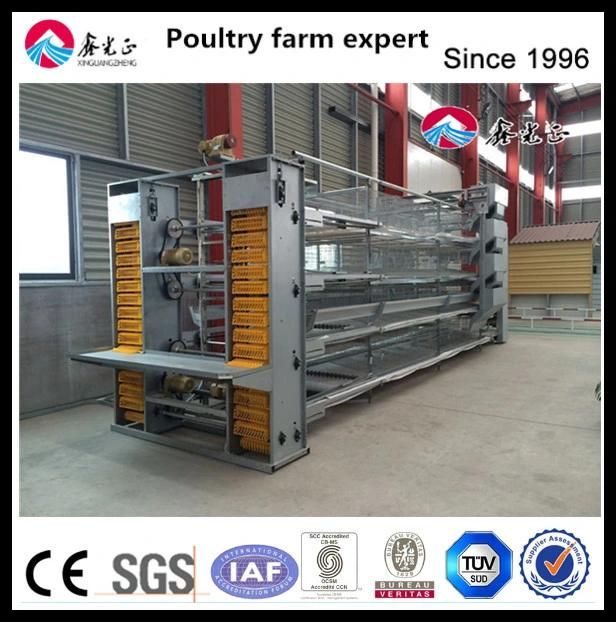 Layer Cage with Feeding Equipment