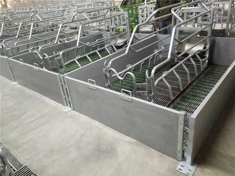 Animal Cages Galvanized Pig Sow Farrowing Crates for Swine