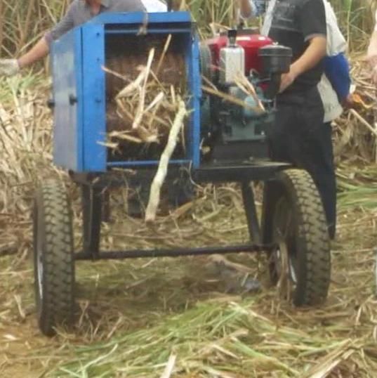 High Efficiency of Sugarcane Leaf Peeling Machine with 8.8kw Diesel Engine