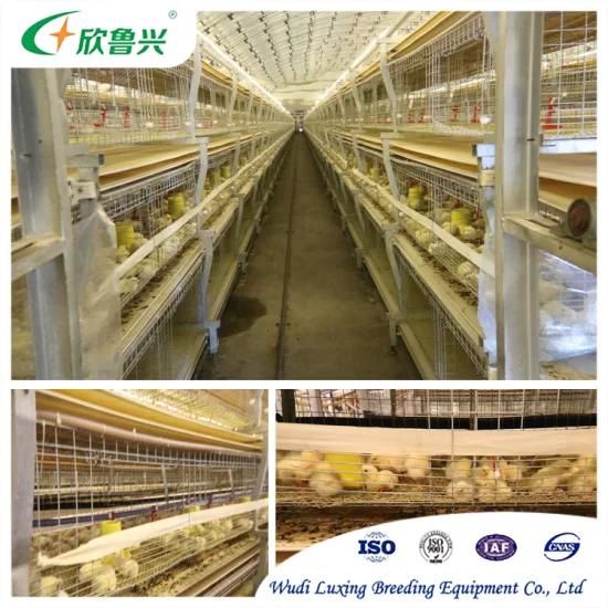 Chicken Laying Egg Nest Poultry Housing Chicken Layer Cage Systems for Sale