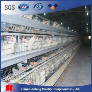 Chinese Wholesale Chicken Cage Bird Cage for Sale in Pakistan Poultry Battery Cage Animal ...