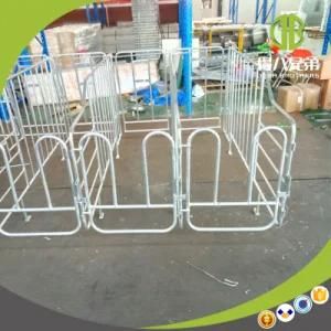 Individual Sow Stall Made in China by Deba Brother Company
