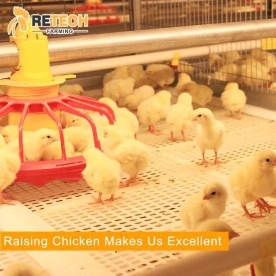 Retech Automatic Poultry Drinking System For Chickens