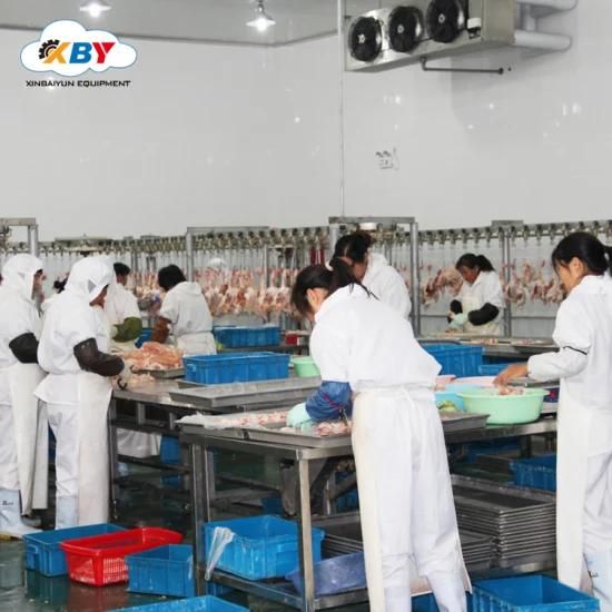 Customized Slaughter Unit Equipment 1000 Chickens for The Abattoir Processing Machine