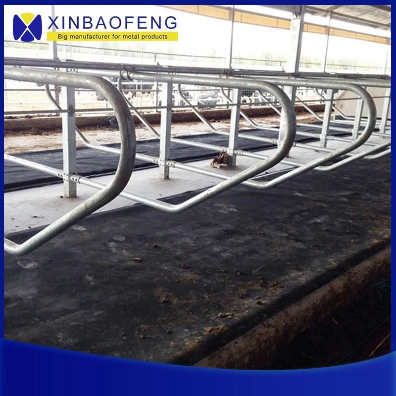 Flexible Plastic Cow Free Stall Manufacture