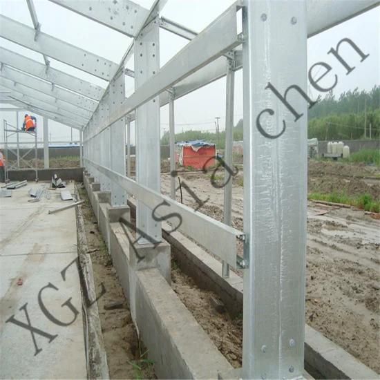 Asia Chen Design High-End Steel Structure Chicken House