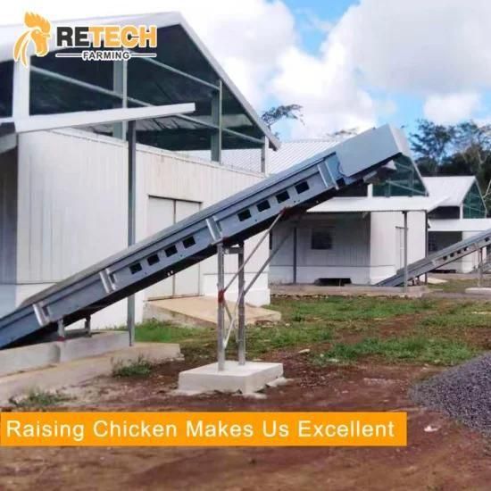 Automatic Layer Chicken Cage Manure Removal System for Poultry Equipment