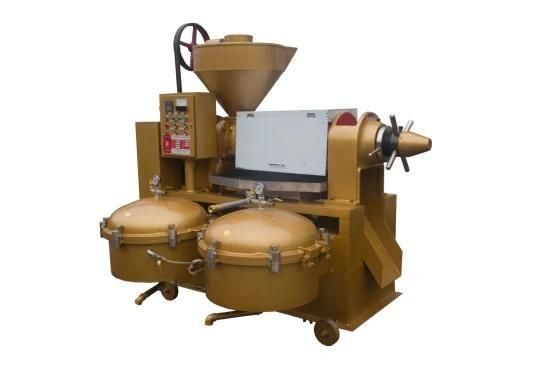 Yzlxq140 Hot Sale High Efficiency Automatic Cold Pressed Copra Oil Machine