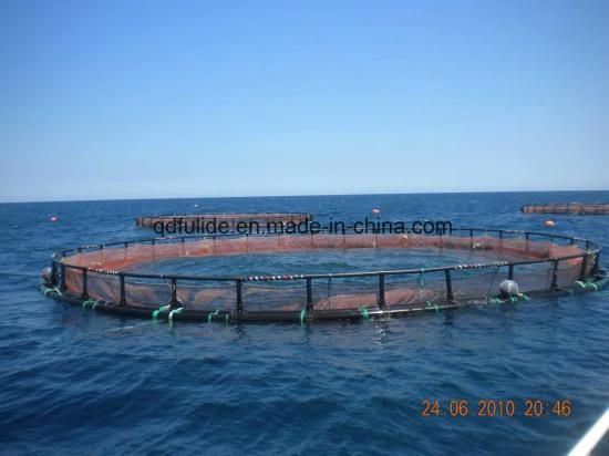 Culture Deep Sea Anti-Wave HDPE Circular Net Fish Cage