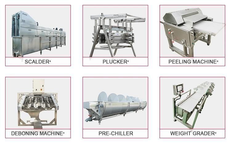 2000bph Automatic Poultry Farm Slaughter Equipment Equipments