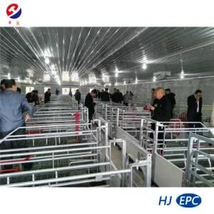 5000 Sow Farm- Pig Farrowing Crate, Pen, Stall, House