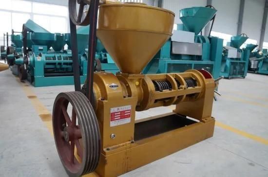10tpd Cotton Seeds Oil Press Machine From Factory