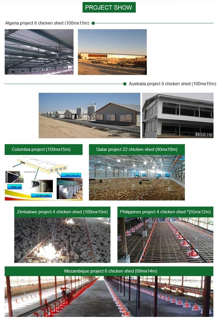 Turkey Automatic Poultry Chicken Farming Equipment for Broiler and Breeder