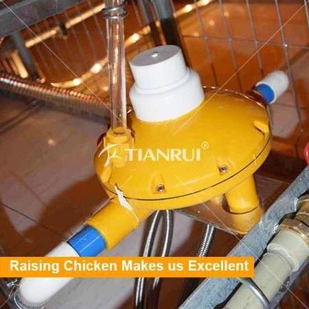 Automatic Chicken House Poultry Farm Equipment and Dinking System
