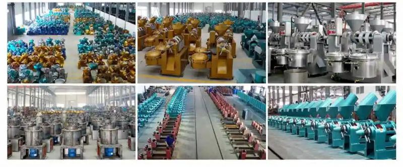 Yzyx168 Big Capacity 20 Tons Per Day Cotton Sunflower Seeds Oil Press