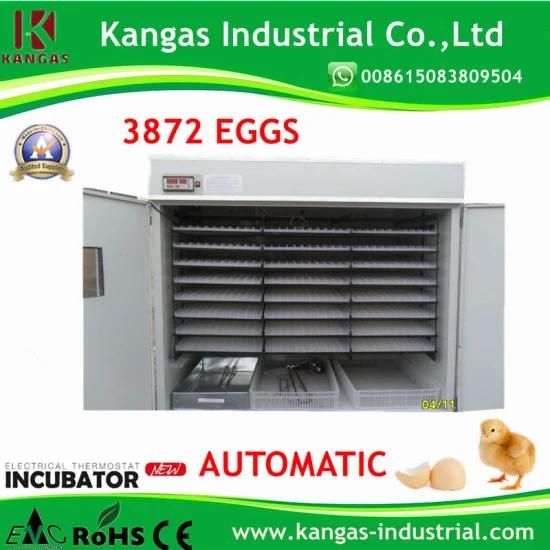 CE Automatic Hatcher Machine Small Chicken Incubator Egg Hatching Machine (KP-22)
