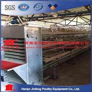 Q235 Wire Mesh Chicken Egg Laying Cage