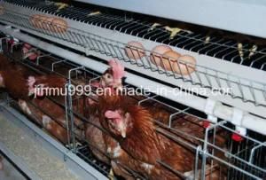 Egg Laying Chicken Cage for Poultry Farm