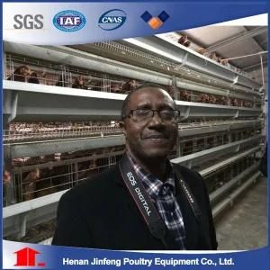 Battery Poultry Equipment Chicken Cage for Farm Use