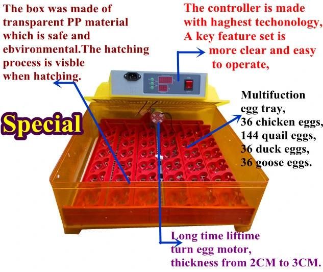 Capacity of 36 Eggs Newest Design Ce Certificate Best Price Chicken Egg Incubator Cubator for Sale (KP-36)