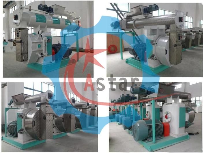 1t/H Small Fodder Pellet Machine for Cattle Feed