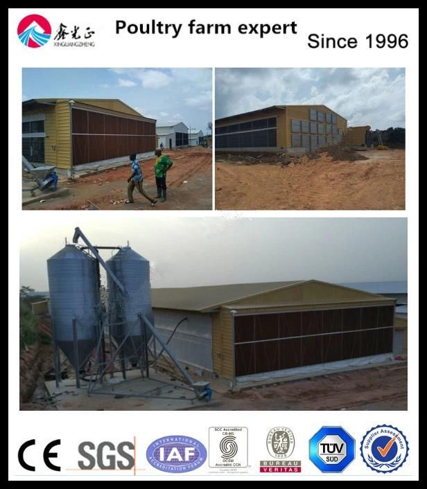 Broiler Ground Raising Equipment with Steel House