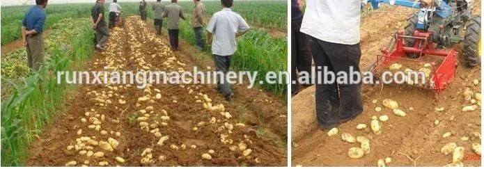 China Agriculture Walking Tractor Root Vegetable Mini Single Sweet Potato Harvester