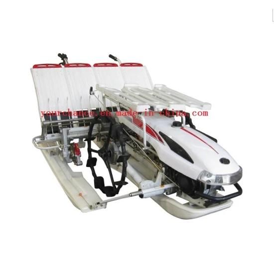 High Quality 2zx-430 4 Rows 300mm Rows Width Walking Type Rice Transplanter for Sale
